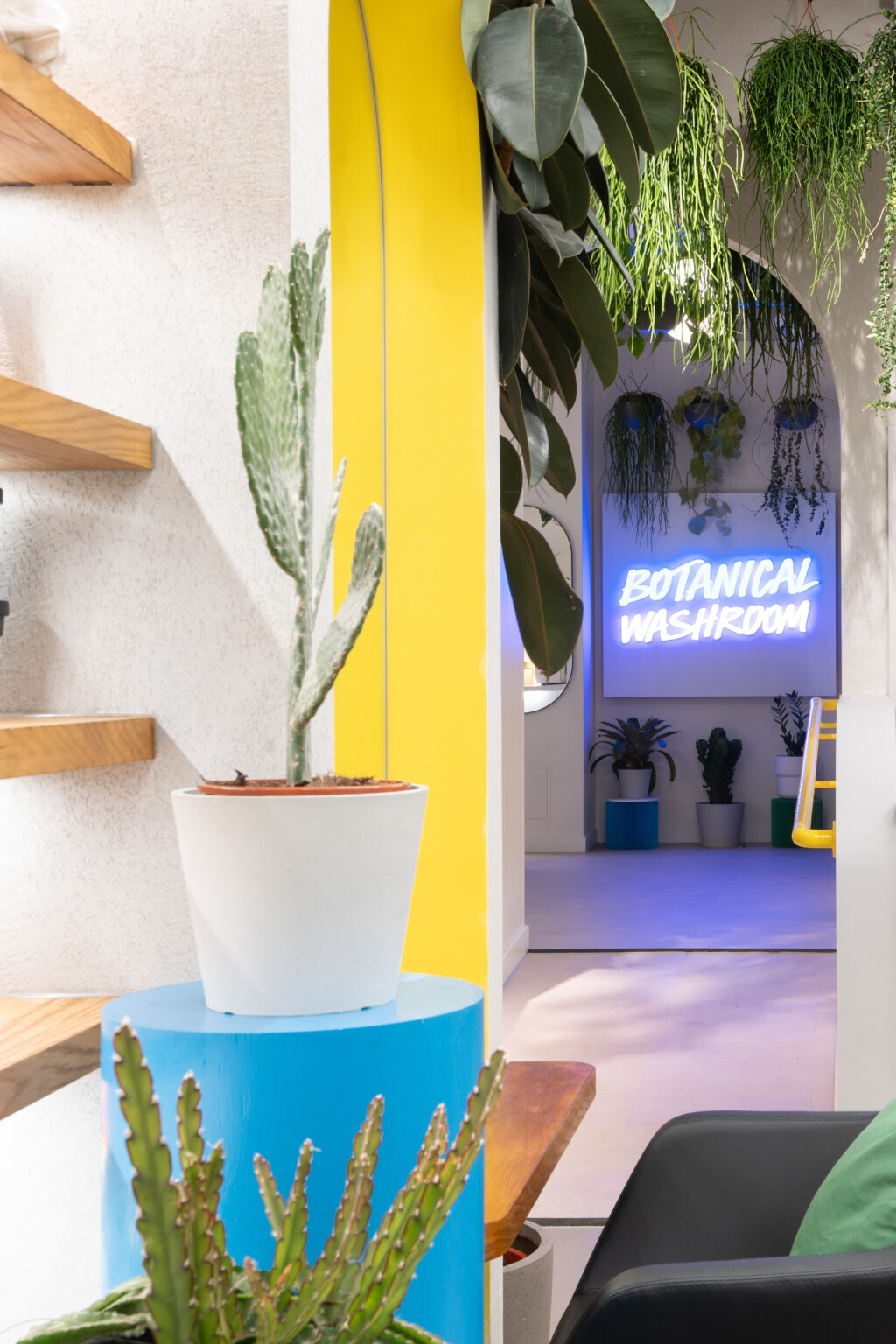 Lush Hairlab Brighton Armourcoat UK