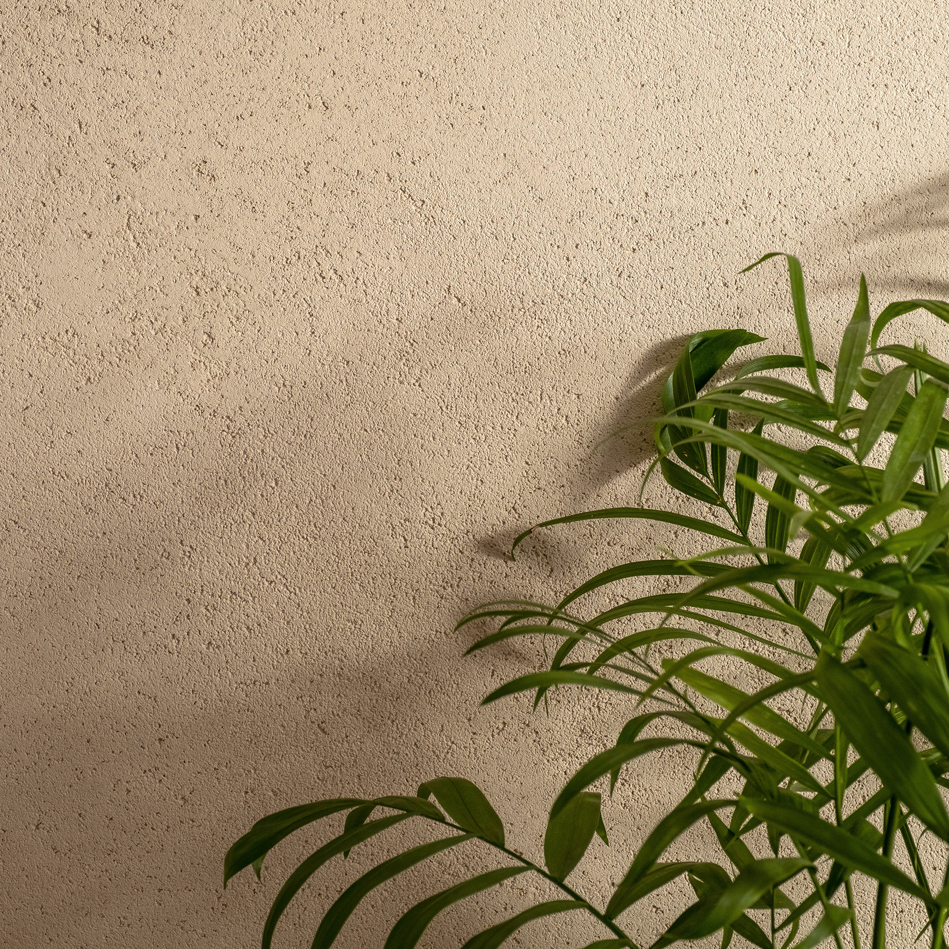 Clay Plaster | Armourcoat UK